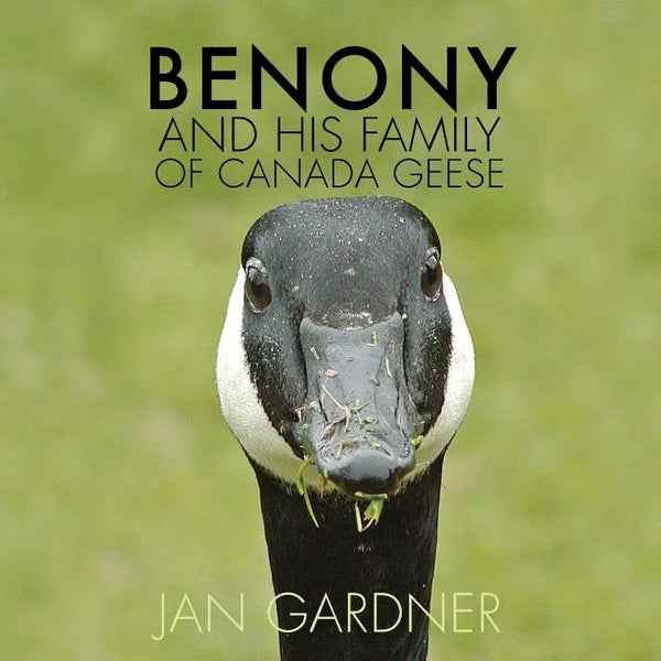 Benony and His Family of Canada Geese - Paperback