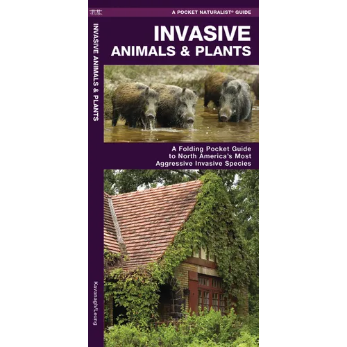 Invasive Animals & Plants: A Folding Pocket Guide to North America's Most Aggressive Invasive Species