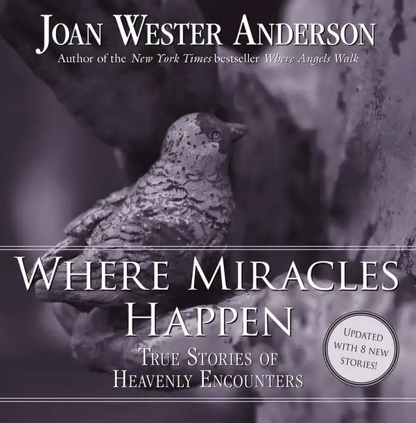 Where Miracles Happen: True Stories of Heavenly Encounters - Paperback