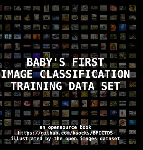 Baby's First Image Classification Training Data Set - Hardcover