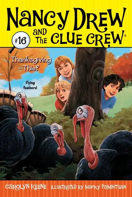 Thanksgiving Thief - Paperback