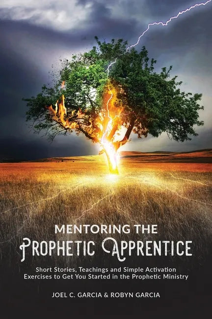 Mentoring the Prophetic Apprentice - Paperback