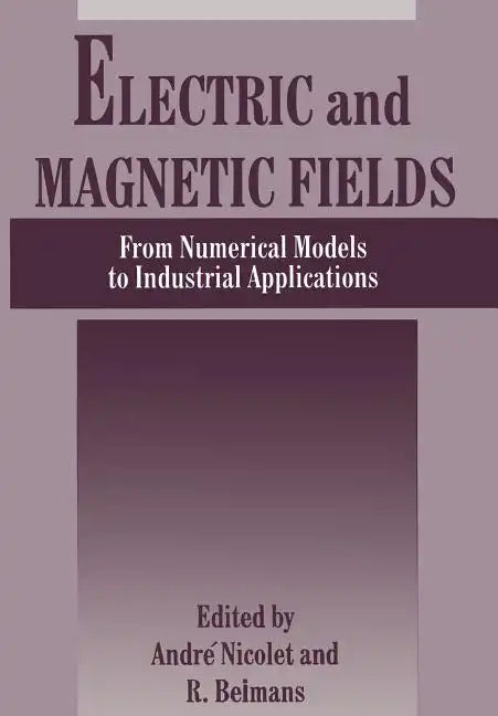 Electric and Magnetic Fields: From Numerical Models to Industrial Applications - Paperback