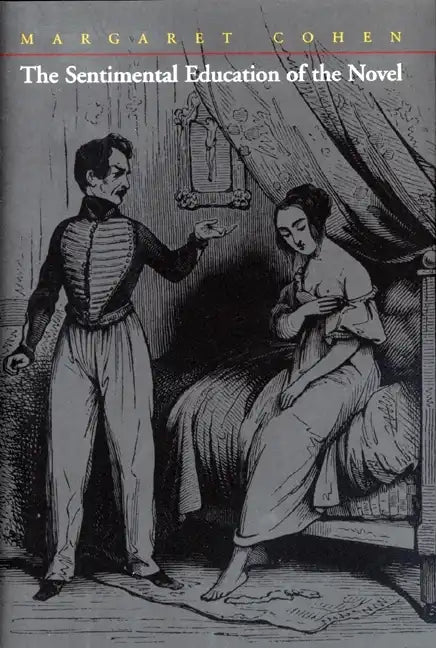 The Sentimental Education of the Novel - Paperback