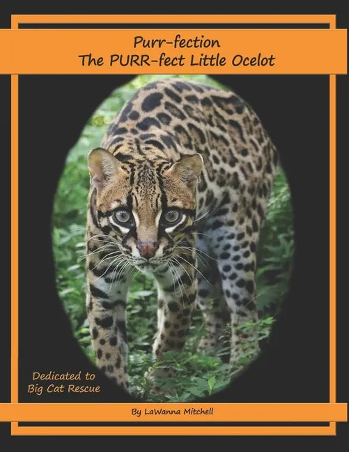 Purr-fection, the PURR-fect Little Ocelot - Paperback