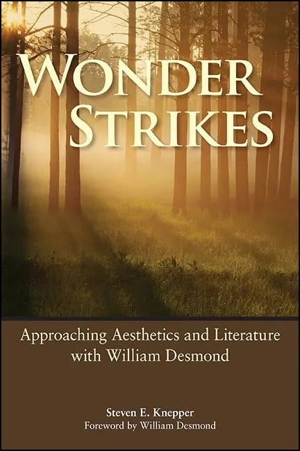 Wonder Strikes: Approaching Aesthetics and Literature with William Desmond - Hardcover