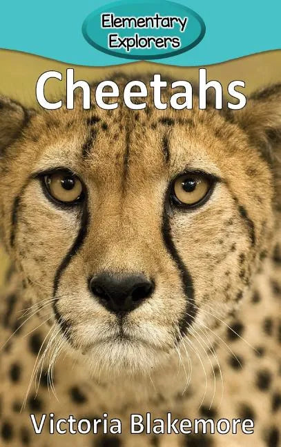 Cheetahs - Hardcover