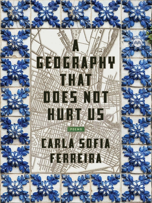 A Geography That Does Not Hurt Us - Paperback