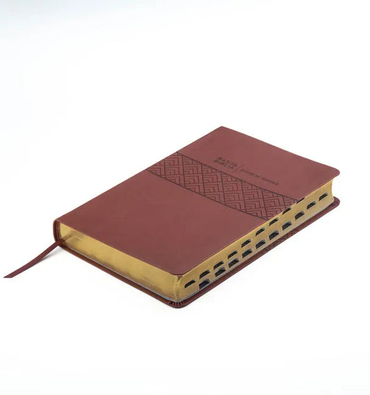 Santa Biblia de Promesas Reina Valera 1960 / Letra Gigante - 13 Puntos / Piel Especial Con Índice / Café // Spanish Promise Bible Rvr 1960 / Giant Pri - Imitation Leather