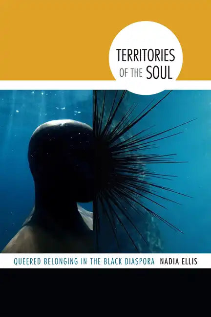 Territories of the Soul: Queered Belonging in the Black Diaspora - Paperback