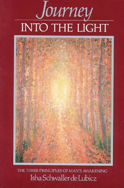 Journey Into the Light: The Three Principles of Man's Awakening - Paperback