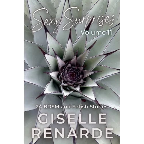 Sexy Surprises Volume 11: 24 BDSM and Fetish Stories - Paperback