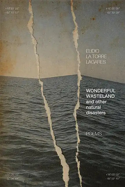 Wonderful Wasteland and Other Natural Disasters: Poems - Paperback