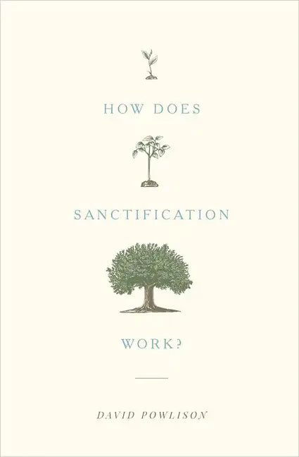 How Does Sanctification Work? - Paperback