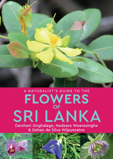 A Naturalist's Guide to the Flowers of Sri Lanka - Paperback