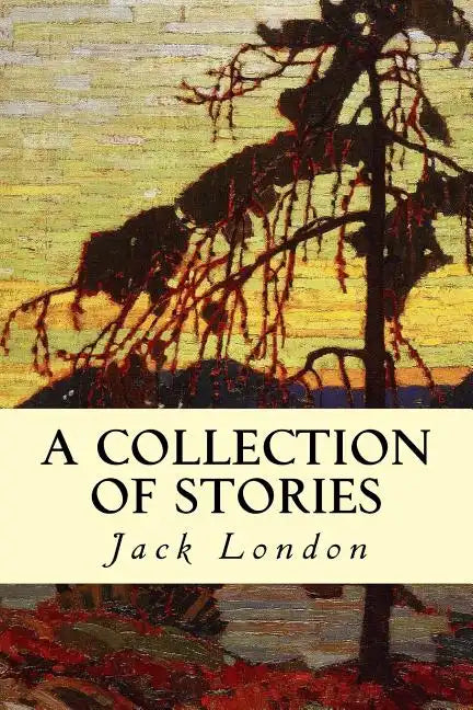 A Collection of Stories - Paperback