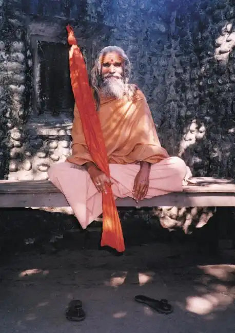 Dandi Swami: The Story of the Guru's Will, Maharishi Mahesh Yogi, the Shankaracharyas of Jyotir Math, & Meetings with Dandi Swami N - Paperback
