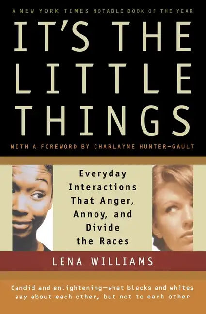 It's the Little Things: Everyday Interactions That Anger, Annoy, and Divide the Races - Paperback