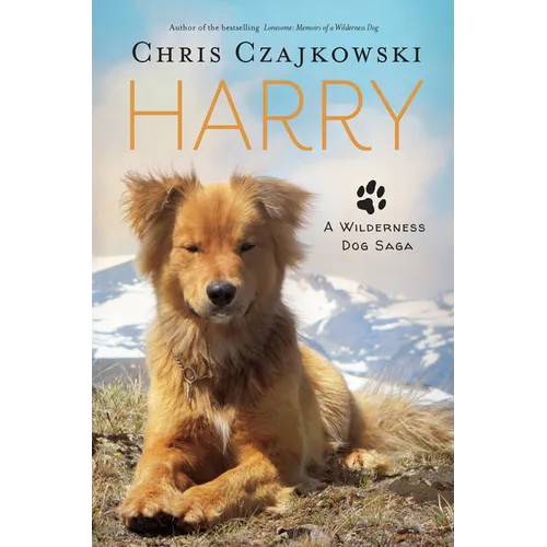 Harry: A Wilderness Dog Saga - Paperback