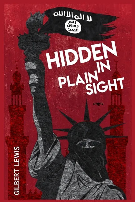 Hidden in Plain Sight - Paperback