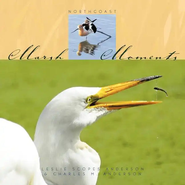 Marsh Moments: Northcoast - Paperback