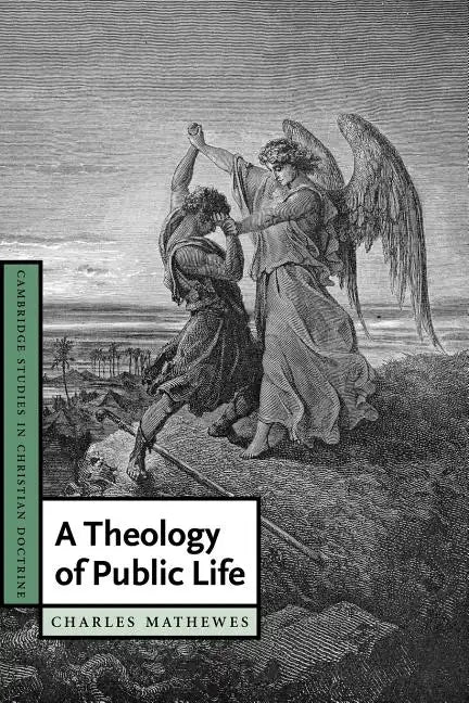 A Theology of Public Life - Paperback