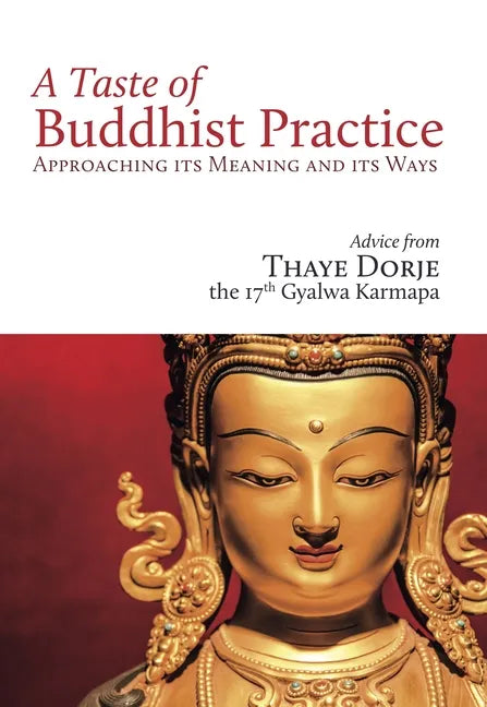 A Taste of Buddhist Practice: Approaching Its Meaning and Its Ways - Paperback