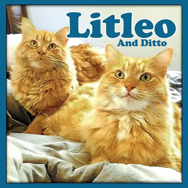 Litleo And Ditto - Paperback