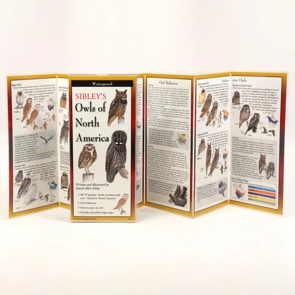 Sibley's Owls of North America
