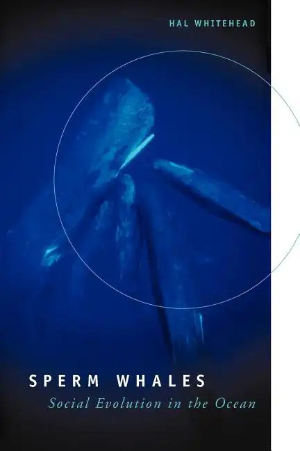 Sperm Whales: Social Evolution in the Ocean - Paperback
