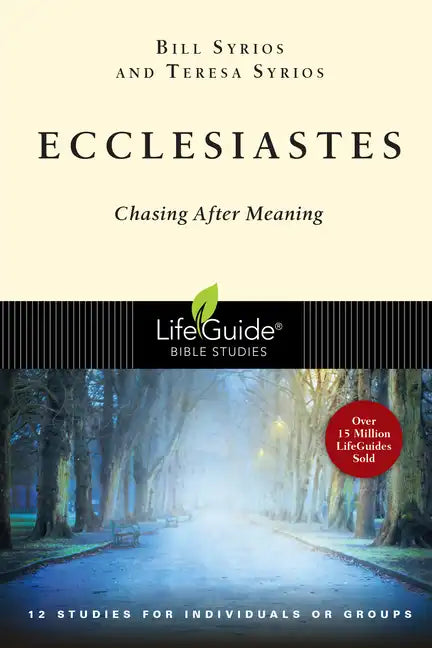 Ecclesiastes: Chasing After Meaning - Paperback