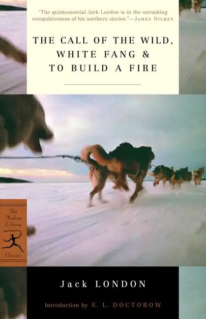 The Call of the Wild, White Fang & to Build a Fire - Paperback