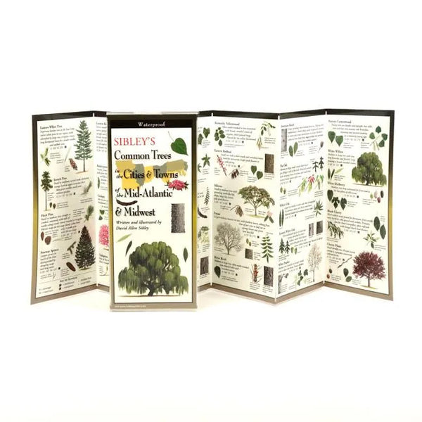 Sibley's Common Trees in the Cities & Towns of the Mid-Atlantic & Midwest
