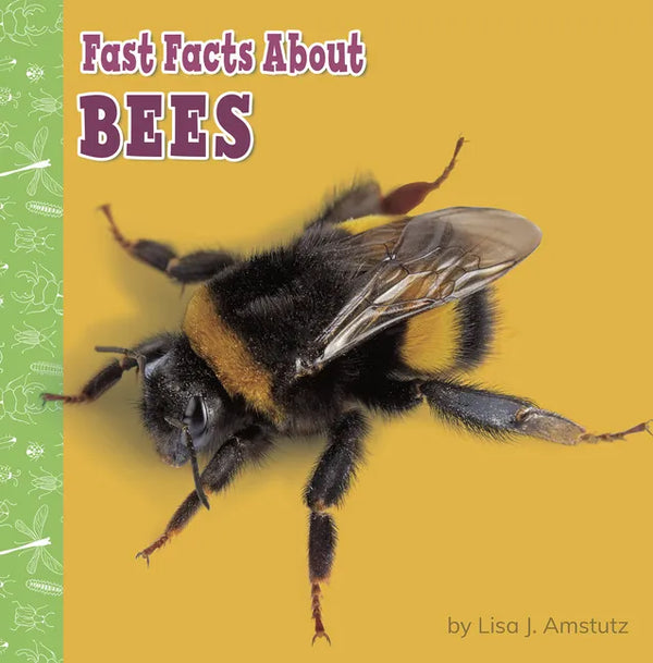 Fast Facts about Bees - Paperback