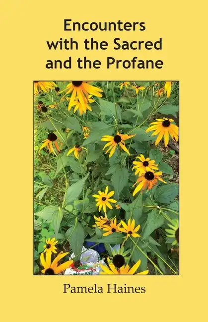 Encounters with the Sacred and the Profane - Paperback