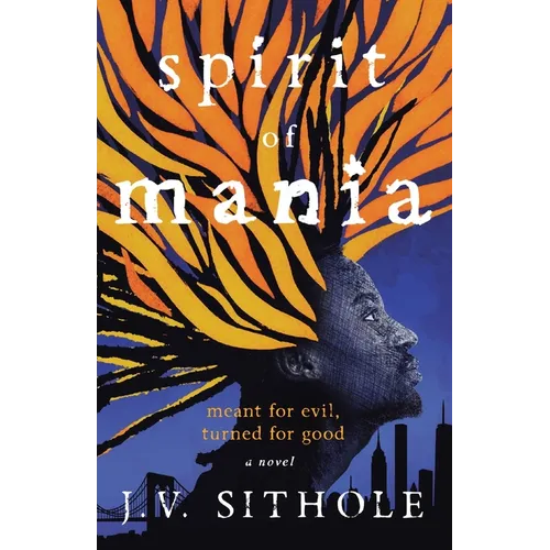 Spirit of Mania: Meant for Evil, Turned for Good A Novel - Paperback