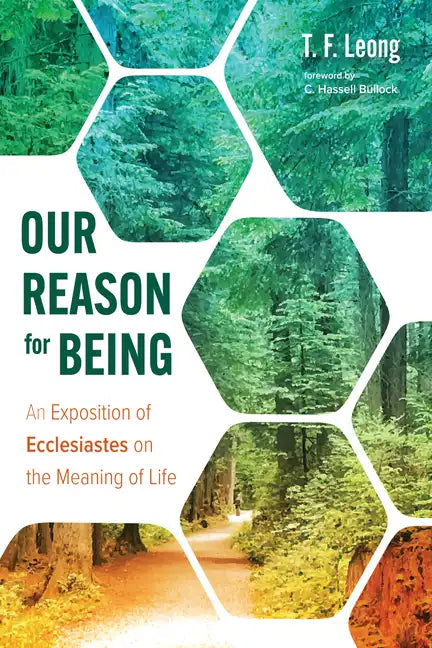 Our Reason for Being: An Exposition of Ecclesiastes on the Meaning of Life - Hardcover