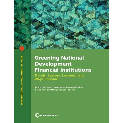 Greening National Development Financial Institutions - Paperback