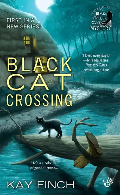 Black Cat Crossing - Paperback