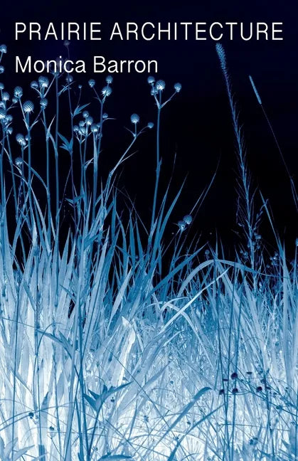 Prairie Architecture - Paperback
