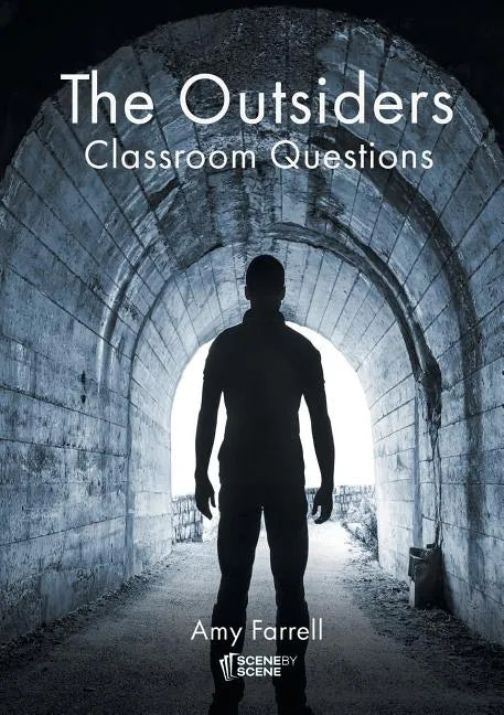 The Outsiders Classroom Questions - Paperback