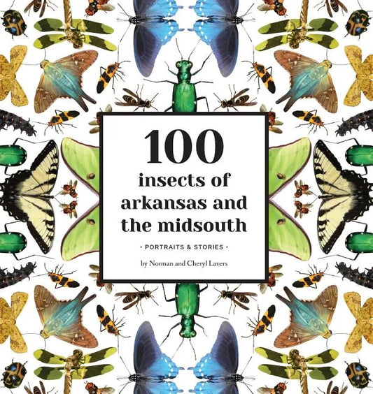 100 Insects of Arkansas and the Midsouth: Portraits & Stories - Paperback