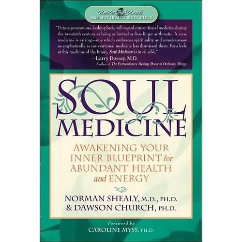 Soul Medicine: Awakening Your Inner Blueprint for Abundant Health and Energy - Paperback