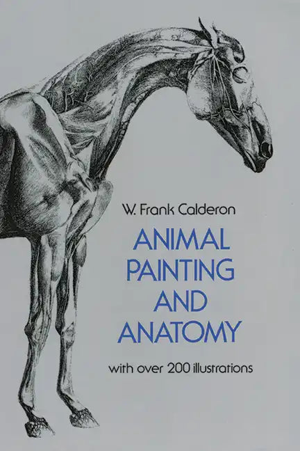 Animal Painting and Anatomy - Paperback
