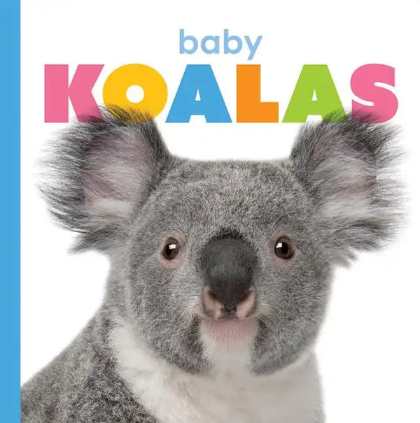 Baby Koalas - Paperback