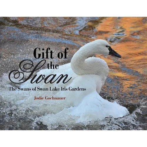 Gift of the Swan: The Swans of Swan Lake Iris Gardens - Paperback