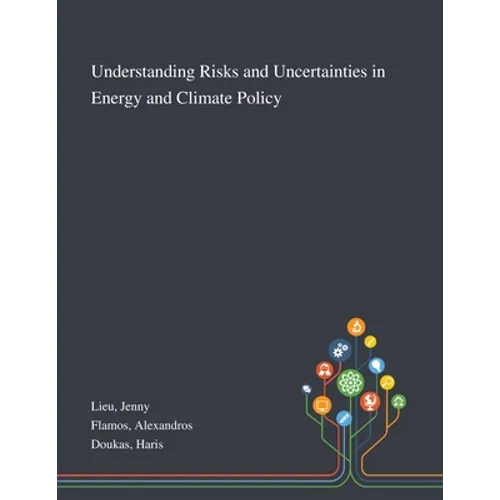 Understanding Risks and Uncertainties in Energy and Climate Policy - Paperback