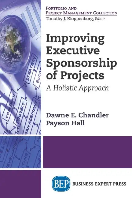 Improving Executive Sponsorship of Projects: A Holistic Approach - Paperback