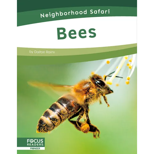 Bees - Paperback