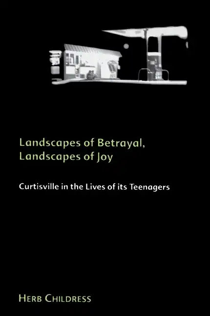 Landscapes of Betrayal, Landscapes of Joy: Curtisville in the Lives of its Teenagers - Paperback